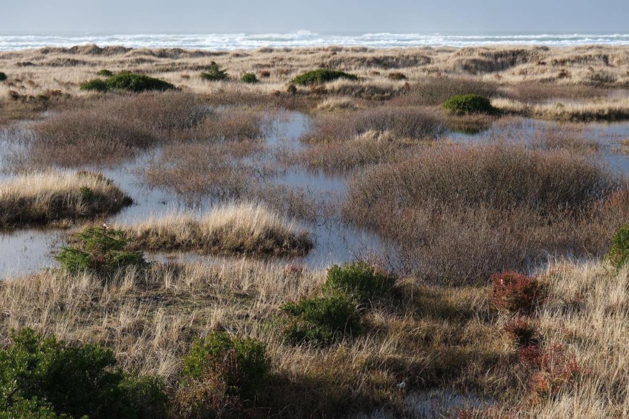 Tidal House #10 - Ocean Shores Chalet 外观 照片