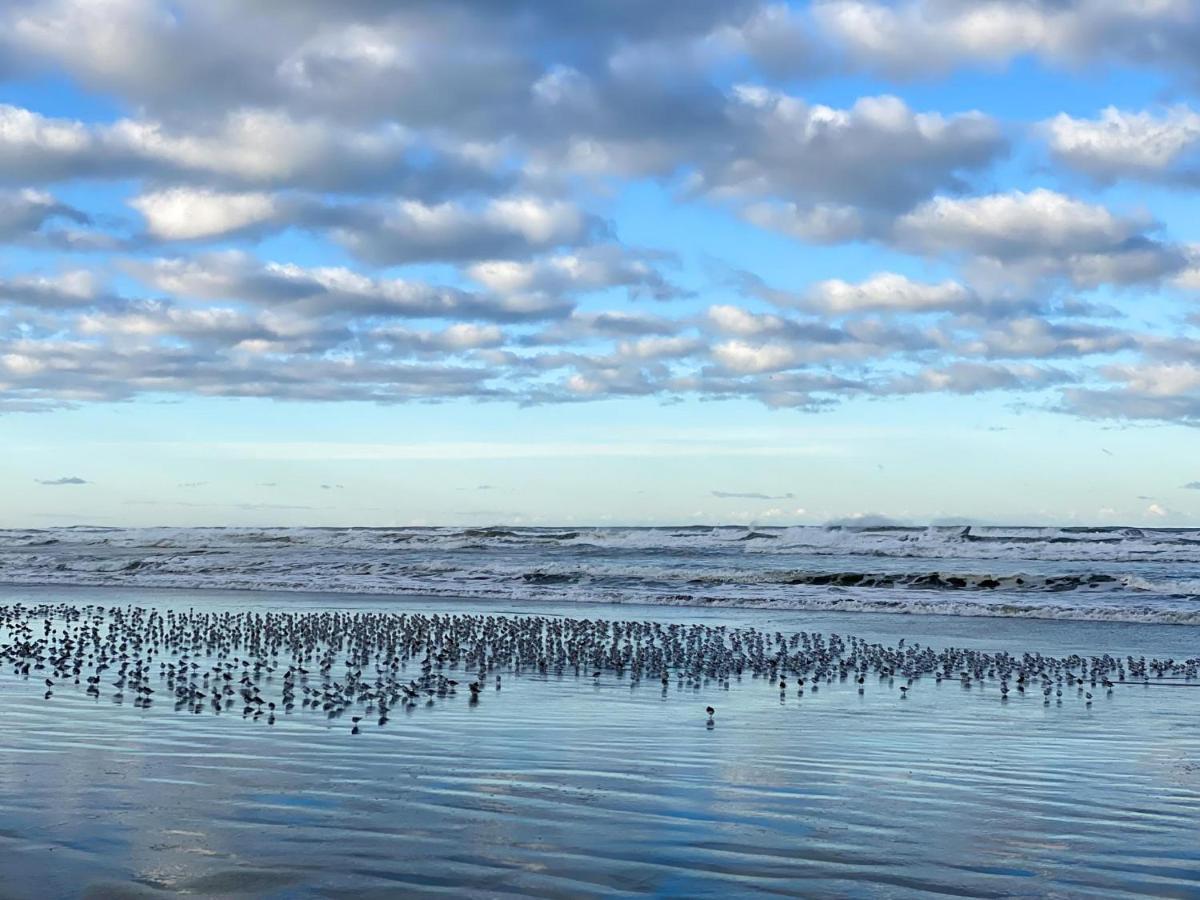 Tidal House #10 - Ocean Shores Chalet 外观 照片